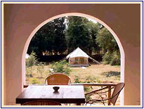 Bandhavgarh Jungle Lodge, Bandhavgarh Hotels