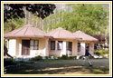 Corbett Ramganga, Corbett Hotels