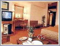 Hotel Vasant Intercontinental, Delhi Hotels
