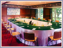 Business Facilities at Taj Exotica, Goa Hotels