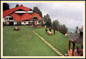 Kufri Holiday Resort, Kufri Hotels