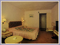 Manali Inn, Manali Hotels